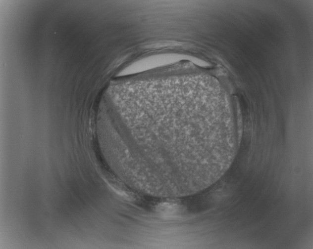 X0000080810119200701122251