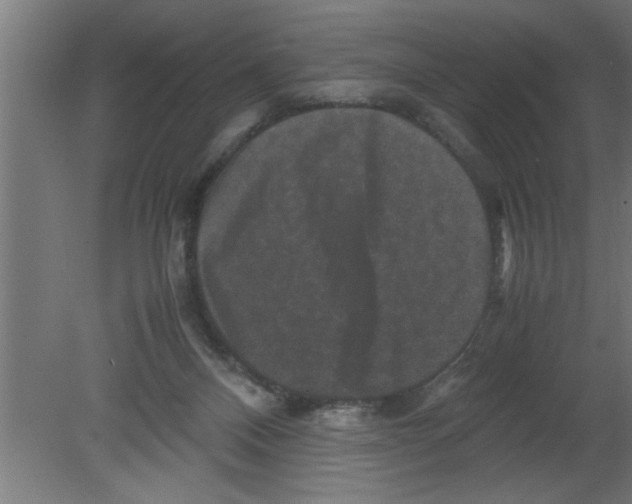 X0000080810120200701122251