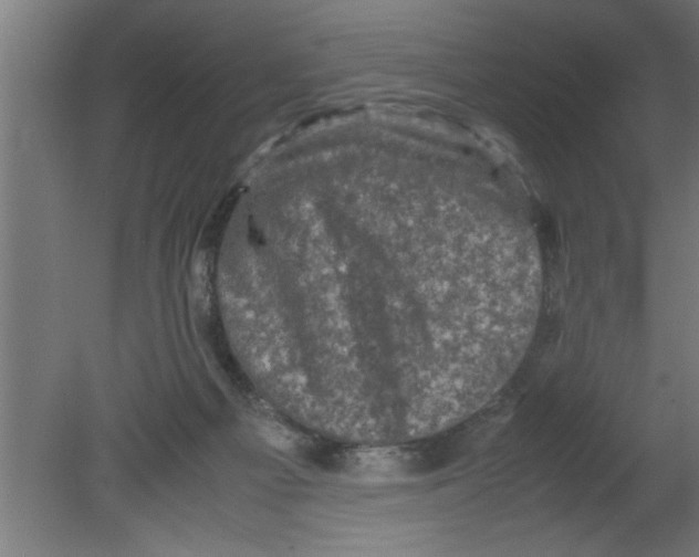 X0000080810121200701122251