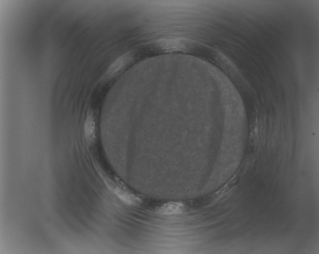 X0000080810124200701122251