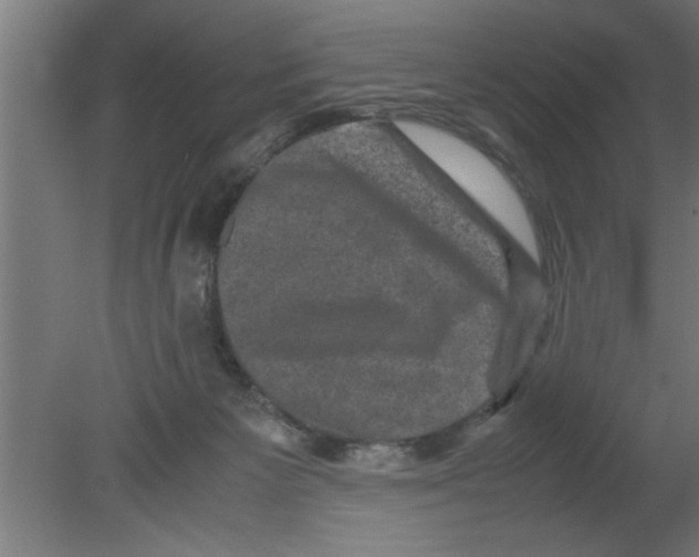 X0000080810125200701122251