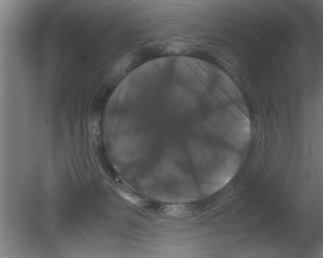 X0000080810127200701122251