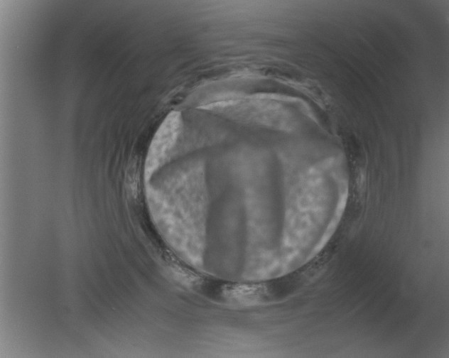 X0000080810129200701122251