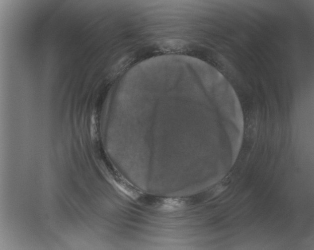 X0000080810130200701122251