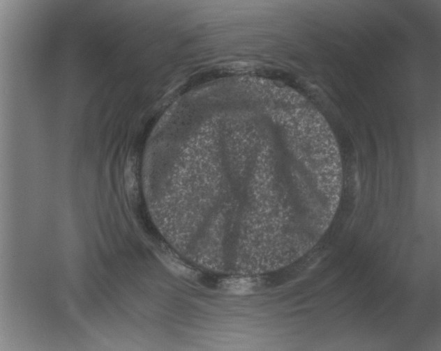 X0000080810131200701122251