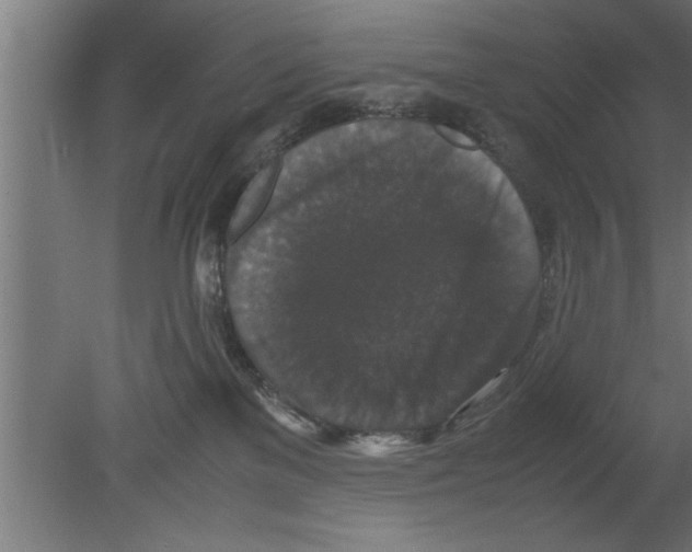 X0000080810137200701122251