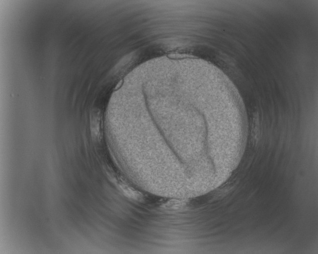 X0000080810138200701122251