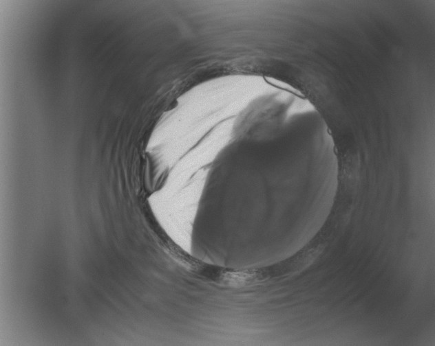 X0000080810139200701122250