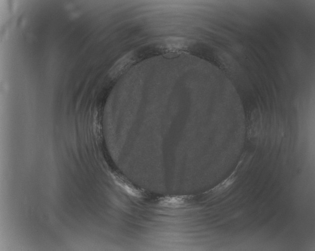 X0000080810140200701122250