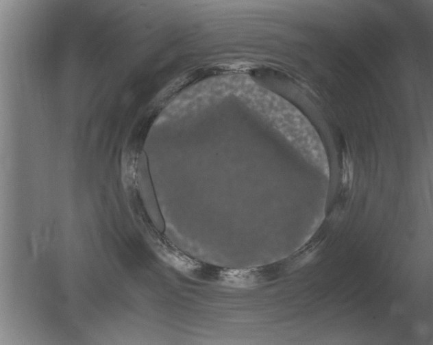 X0000080810141200701122250