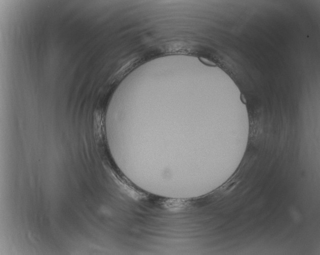 X0000080810142200701122250