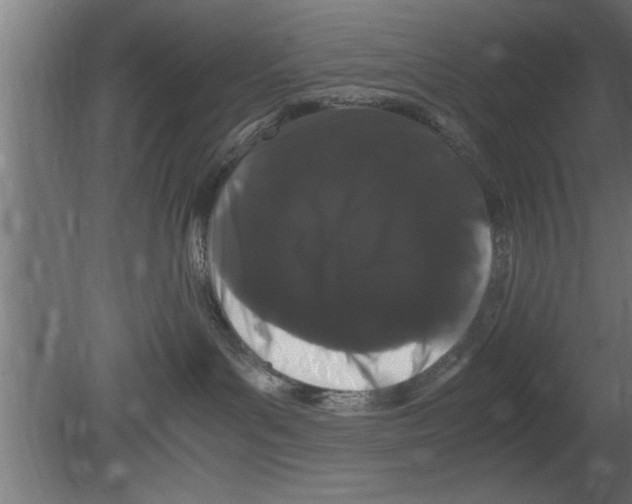 X0000080810143200701122250