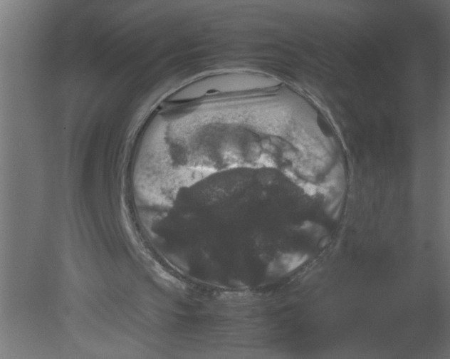 X0000080810145200701122250