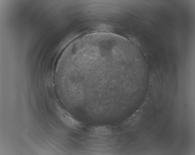 X0000080810146200701122250