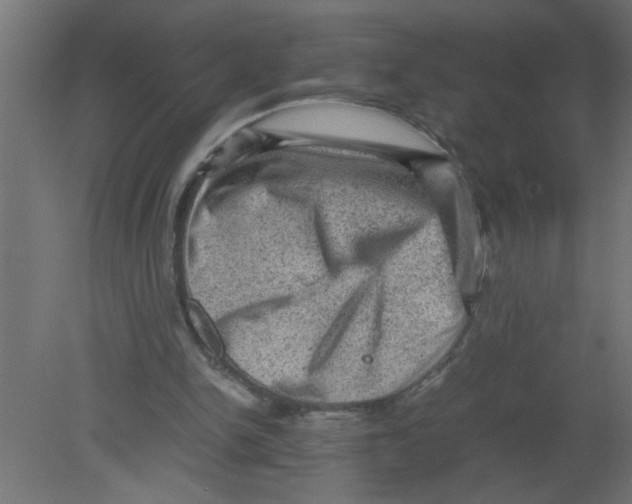 X0000080810150200701122250