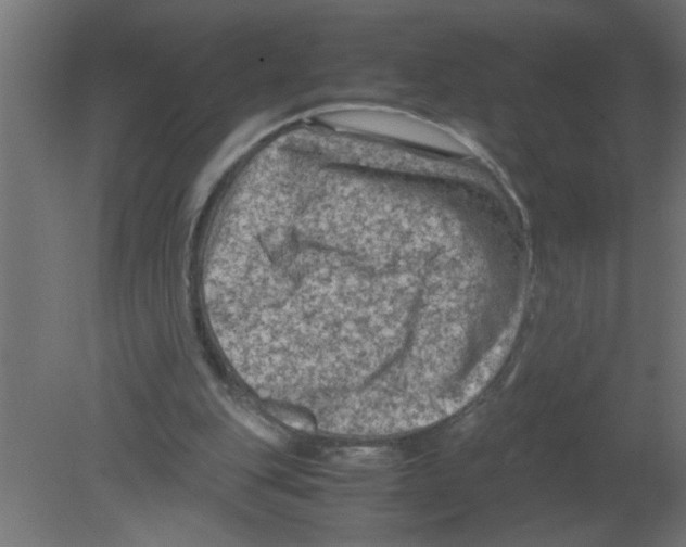 X0000080810151200701122250