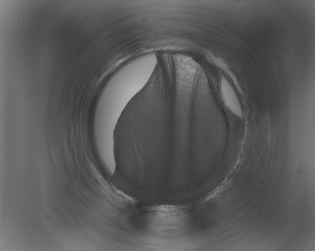 X0000080810154200701122250