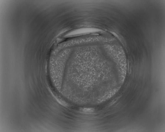 X0000080810157200701122250