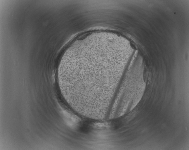 X0000080810160200701122250