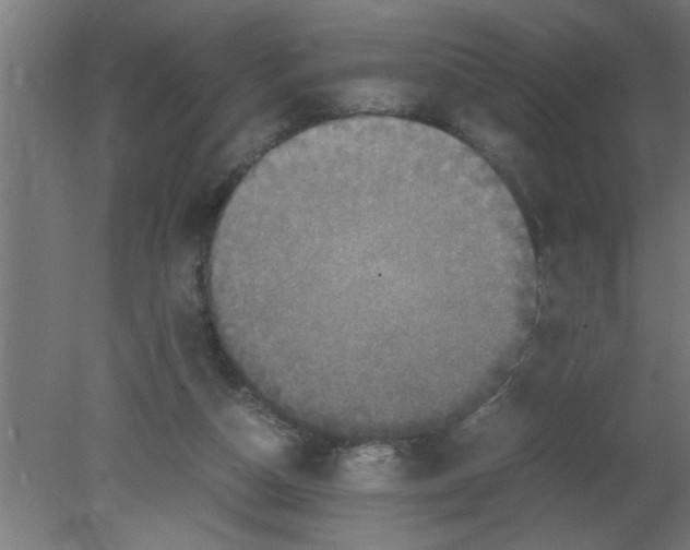 X0000080810162200701122250