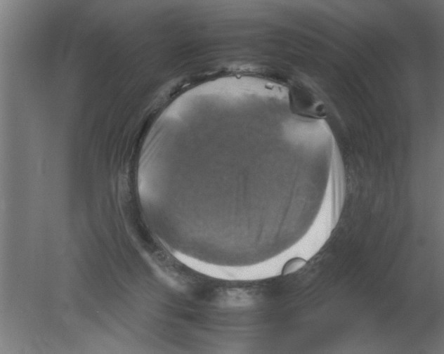 X0000080810163200701122250