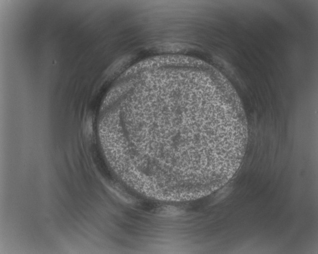 X0000080810166200701122250