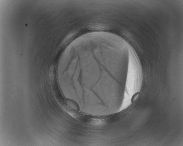 X0000080810167200701122250