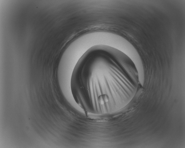 X0000080810168200701122250