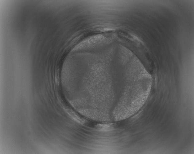 X0000080810170200701122250