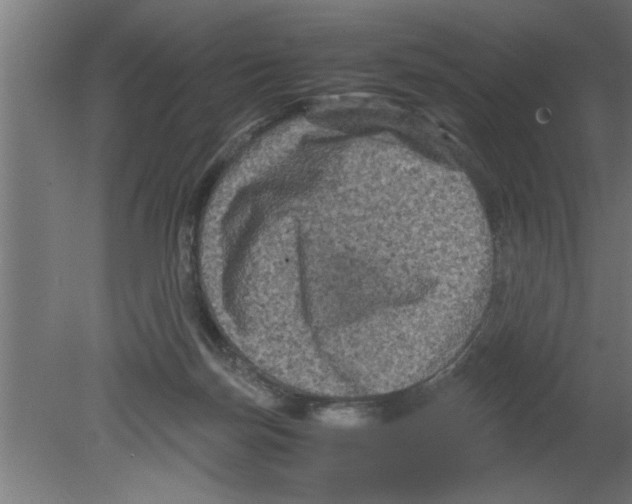 X0000080810171200701122250