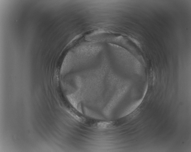 X0000080810172200701122250