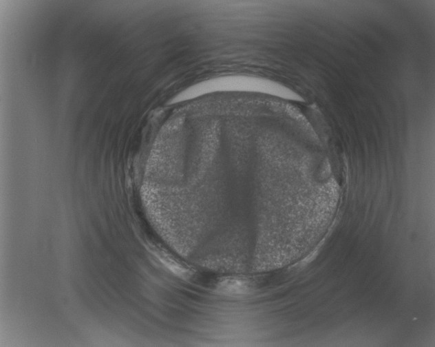 X0000080810174200701122250