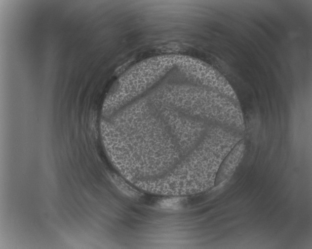 X0000080810178200701122250