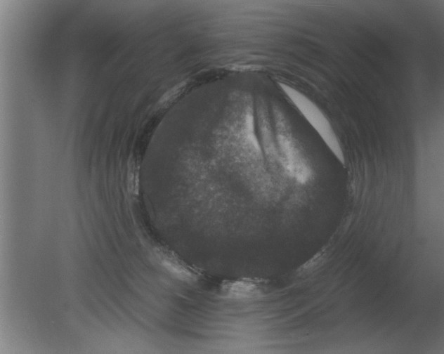 X0000080810180200701122250