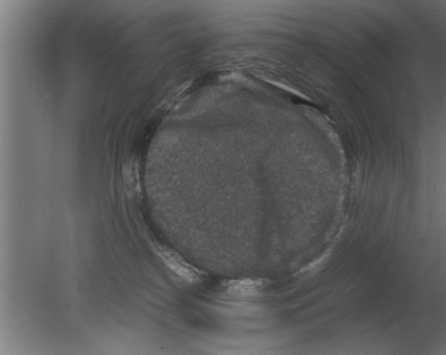 X0000080810182200701122250