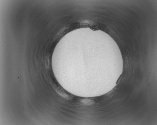 X0000080810183200701122250