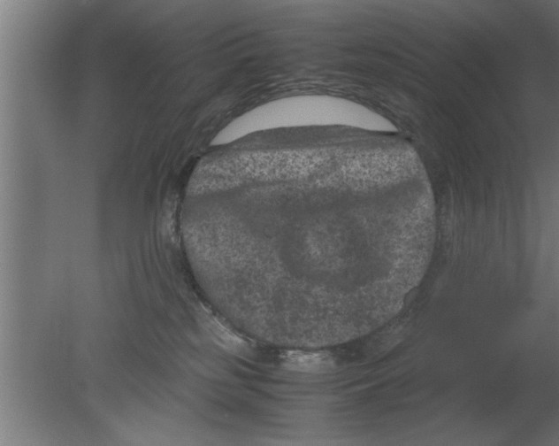 X0000080810185200701122250