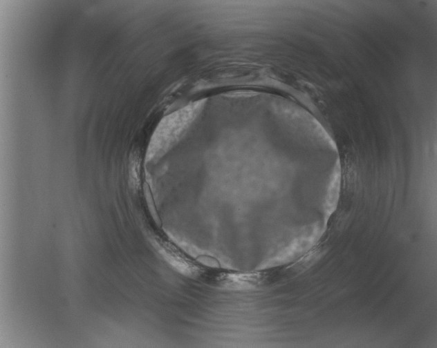 X0000080810188200701122250