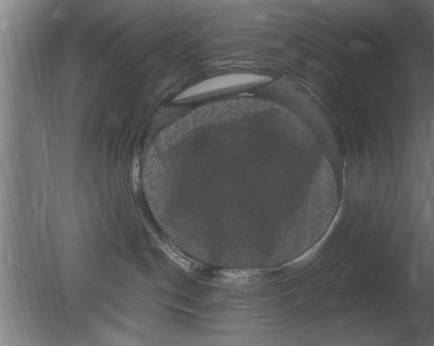 X0000080810190200701122250