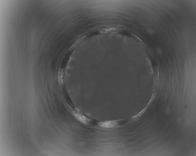 X0000080810191200701122250