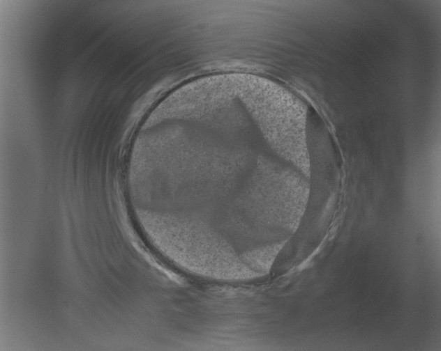 X0000080810193200701122250