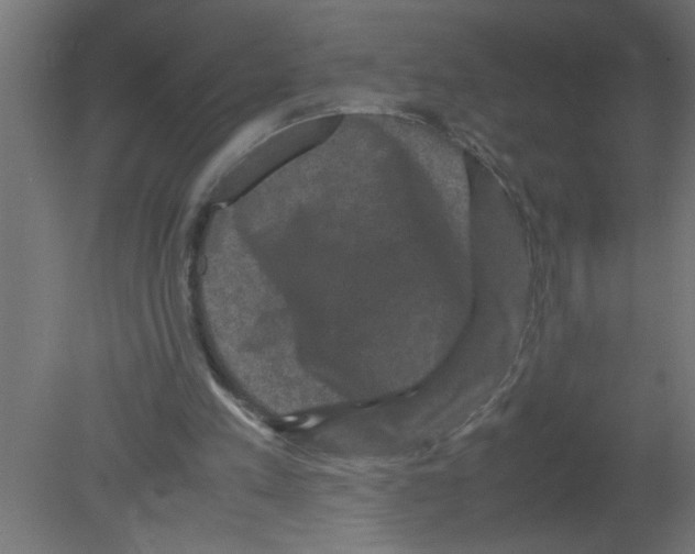 X0000080810197200701122250