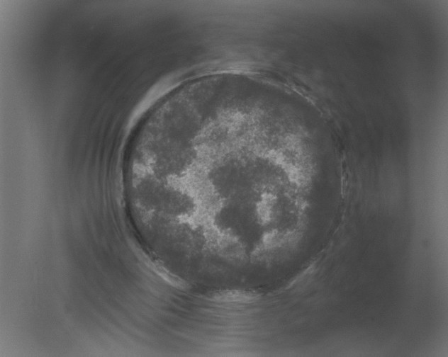 X0000080810198200701122249