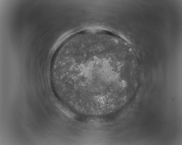 X0000080810199200701122249