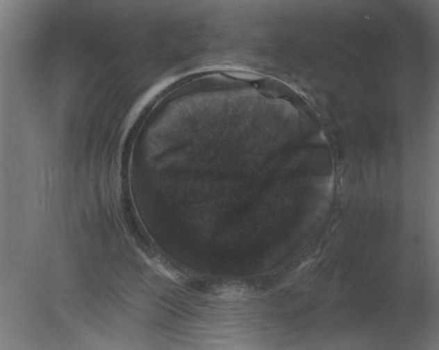 X0000080810200200701122249