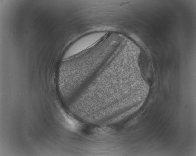 X0000080810201200701122249