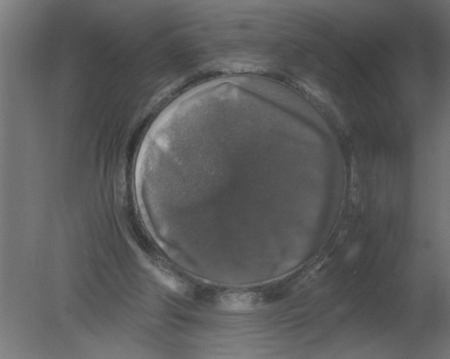 X0000080810202200701122249