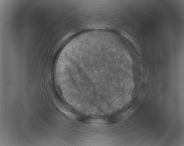 X0000080810203200701122249