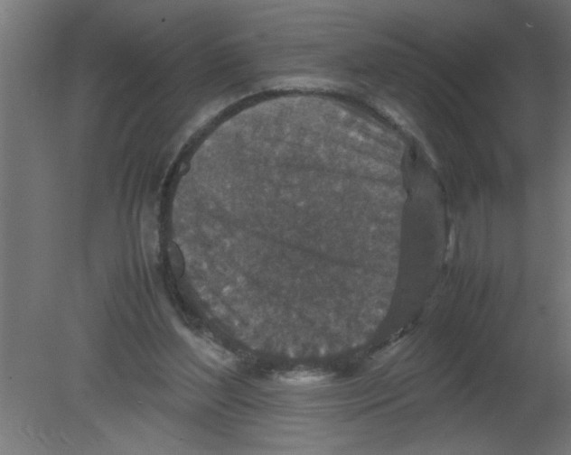 X0000080810204200701122249