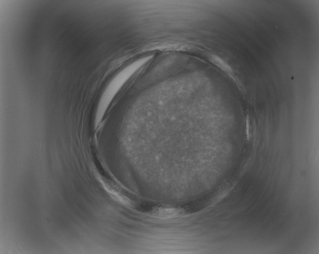 X0000080810205200701122249